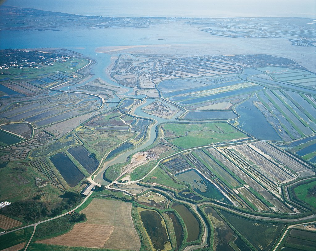 vue aerienne de la rn et des marais